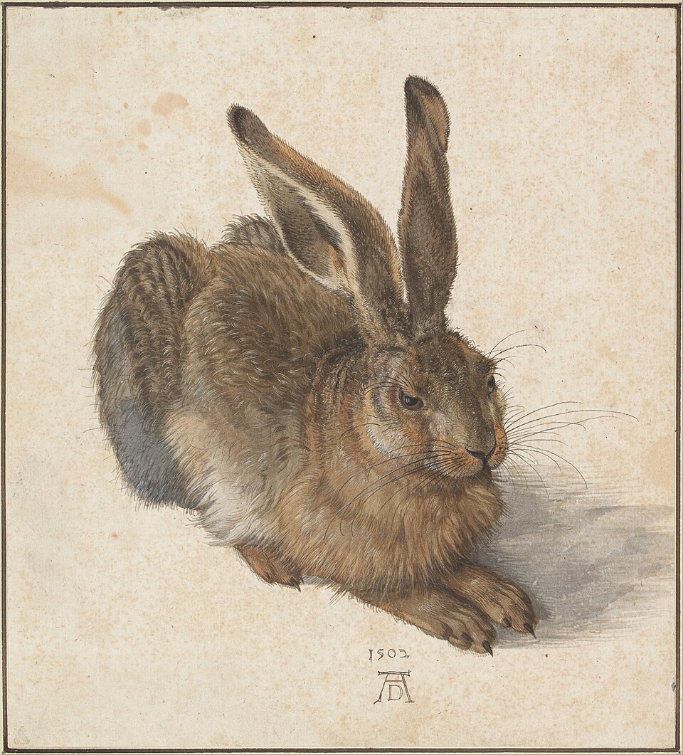 Young Hare, a detailed watercolor painting by Albrecht Durer from 1502 showing a lifelike brown hare