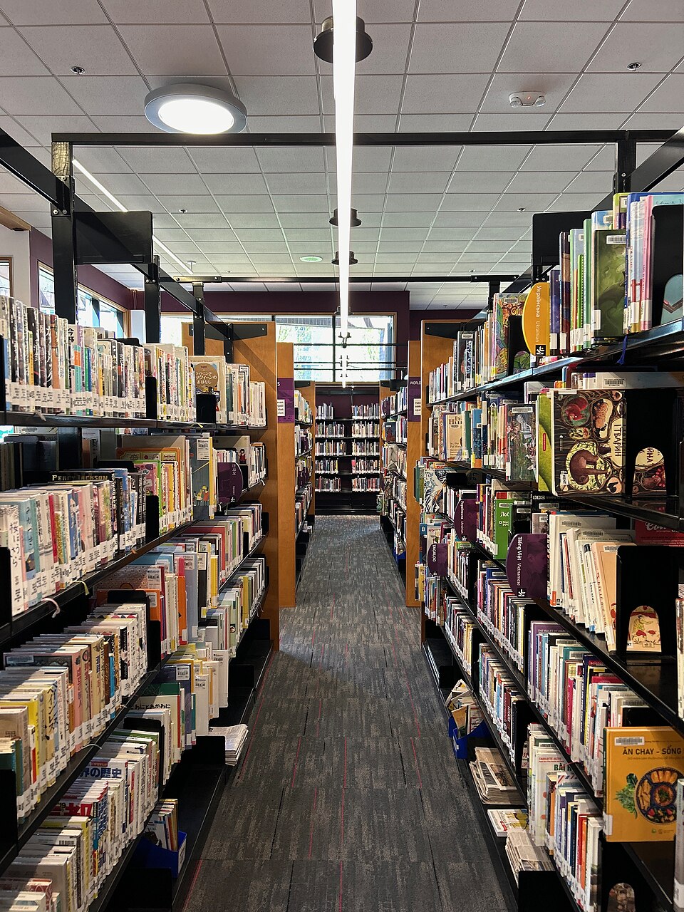 Librarians and Libraries