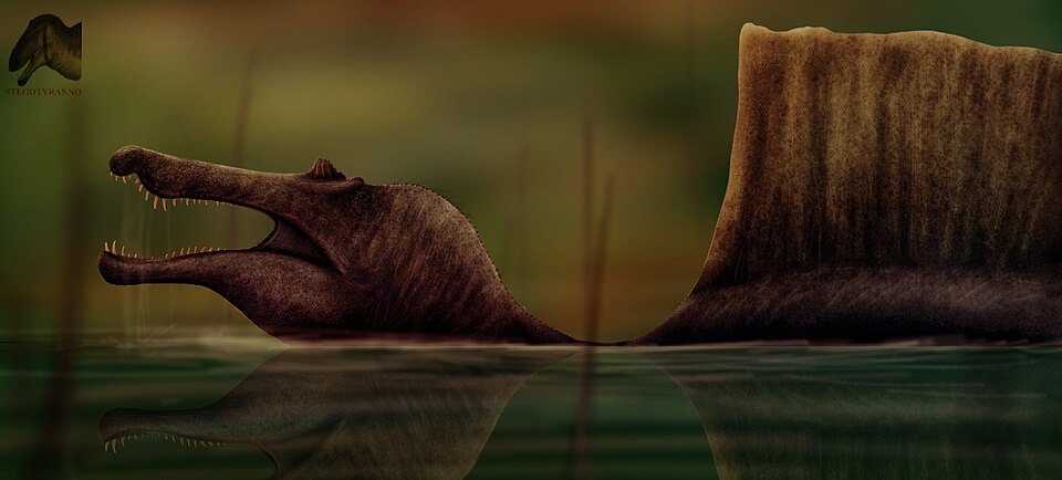 Spinosaurus wading in water with its giant sail rising above the surface
