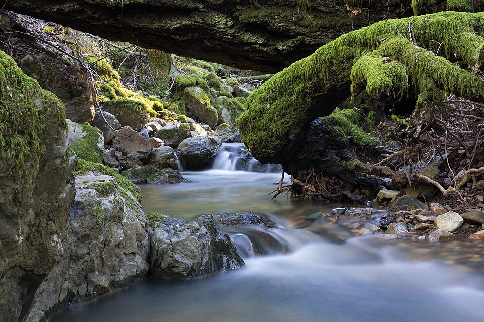 Cataract Creek flowing through mossy rocks at Mount Tamalpais State Park